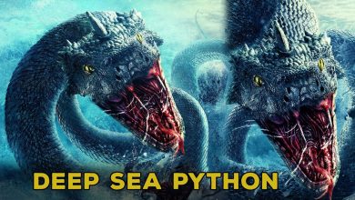 Deep Sea Python
