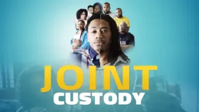 Joint Custody