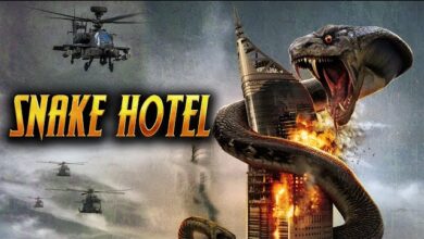 Snake Hotel