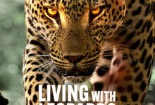 Living With Leopards