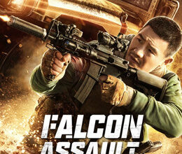 Falcon Assault